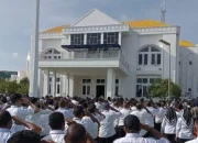 Pelayanan PPPK Tahap I Dan II Tidak Terblokir,Pansel Segera Umumkan