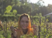 Bupati FAM Tinjau Aktifitas Petani Holtikultura