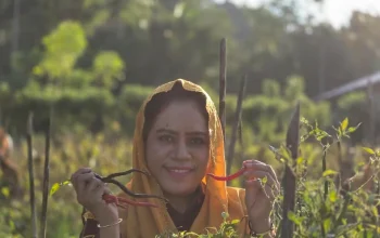Bupati FAM Tinjau Aktifitas Petani Holtikultura