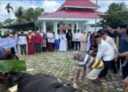 Bupati Sula Pantau Pemotongan Qurban Dalam Kota Sanana